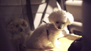 Matkalla: 28.12.2018 02.00