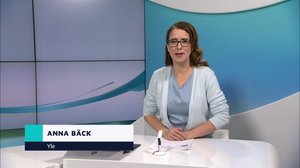 Yle Nyheter TV-nytt: 29.12.2018 17.55