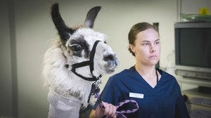 Kanta-laaman romahtanut jalka: 03.01.2019 00.01