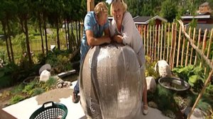 Iloa puutarhasta: 04.01.2019 10.01