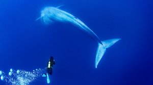 Jatkuuko jahti?: 01.01.2019 08.05