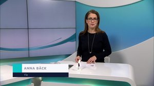 Yle Nyheter TV-nytt: 03.01.2019 17.55