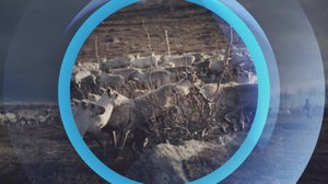 Oddasat: 04.01.2019 22.00