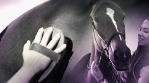 Ratsastuksen maailma: 05.01.2019 10.00