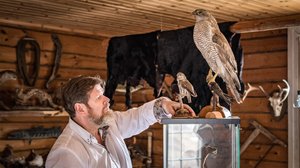 Avoimia taloja ja norsuja: 08.01.2019 00.01