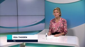 Yle Nyheter TV-nytt: 08.01.2019 17.55