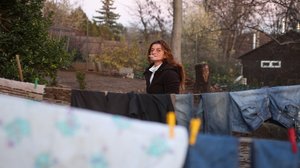 Orjuus nyt: Kotiorja Unkarissa: 14.01.2019 06.00