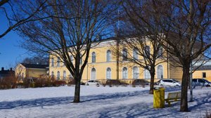 Lokalt live: Elever från Borgå Gymnasium klimatdemonstrerar: 11.01.2019 14.26