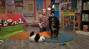 Hunden Hassel på besök i BUU-klubben: 21.01.2019 15.38