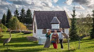 Savannilta napapiirille: 15.01.2019 00.01