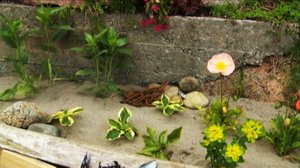 Iloa puutarhasta: 18.01.2019 09.05