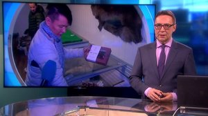 Oddasat: 17.01.2019 22.00