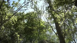 Luonto lähellä: 21.01.2019 07.00