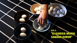 Julia Thurén: Sijoittajan ei kannata laittaa kaikkia munia samaan koriin: 21.01.2019 11.09