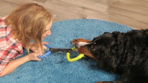 BUU-klubben: 22.01.2019 18.00