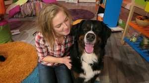 BUU-klubben: 21.01.2019 18.00