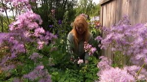 Iloa puutarhasta: 25.01.2019 09.00