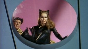 Kuuma kissanainen (7): 23.01.2019 00.01