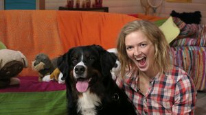 BUU-klubben: 24.01.2019 18.00