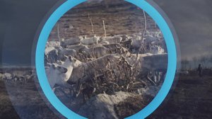 Oddasat: 23.01.2019 22.00