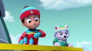 Meripartio: Pennut pelastavat Kampelan / Meripartio: pennut pelastavat sarvivalaan (S): 27.01.2019 08.07