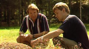 Ollaan kahden, trallalaa: 28.01.2019 00.01