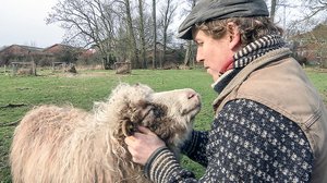 Tanskalainen maajussi: 31.01.2019 18.30