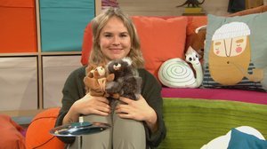 BUU-klubben: 29.01.2019 18.00