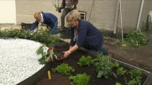 Iloa puutarhasta: 01.02.2019 09.05