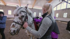 Gymkhana: 02.02.2019 08.20