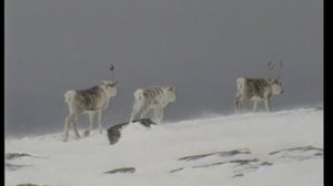 Mitä sää tiedät: Tunturisää: 04.02.2019 00.01