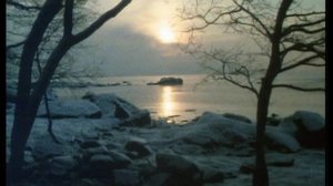 Luonto on vielä meidän: Kun meri on jäässä: 04.02.2019 00.01