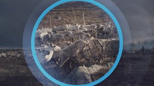 Oddasat: 01.02.2019 22.00