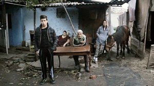 Paperi, hevonen ja lintuja (S): 10.02.2019 00.01