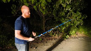 Käärmeitä paratiisissa – Ruskopuukäärmeet valtasivat Guamin saaren : 17.02.2019 09.00