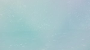 A-studio viittomakielelle tulkattuna: 06.02.2019 16.15