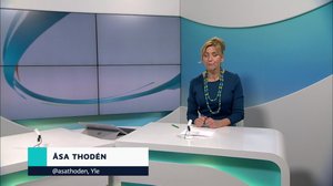 Yle Nyheter TV-nytt: 07.02.2019 17.55