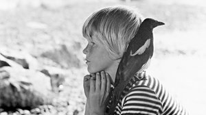 Vinski ja Vinsentti (S): 14.02.2019 00.10