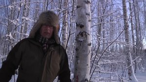 Luonto lähellä: Pakurin viljely: 11.02.2019 08.31