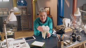 Hammaskeiju Briljantti (S): 14.02.2019 18.00