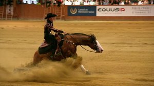 Ratsastuksen maailma: 11.02.2019 14.00