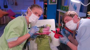 BUU-klubben: 14.02.2019 18.00