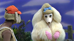 Pipsa muuttaa Bärtilin niitylle (S): 14.02.2019 02.09