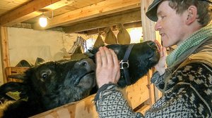 Tanskalainen maajussi: 14.02.2019 18.30