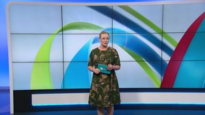Yle Uutiset Uusimaa 14-02-2019 klo 18-21: 14.02.2019 18.33