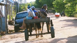 Pienviljelijät vastaan Stora Enso: 17.02.2019 07.00