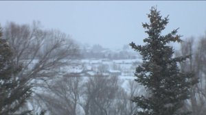 Soldier Hollow, naisten takaa-ajokilpailu: 16.02.2019 19.05