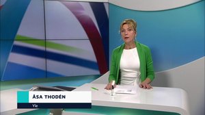 Yle Nyheter TV-nytt: 17.02.2019 17.55
