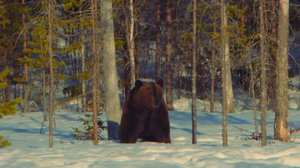 Mistä löytyisi purtavaa pakkasella: 20.02.2019 18.00