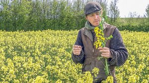 Tanskalainen maajussi: 21.02.2019 18.30